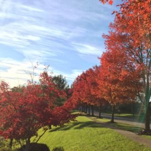 Meet your Posher, Doris